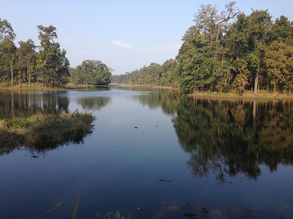Chautari Garden 3* Sauraha