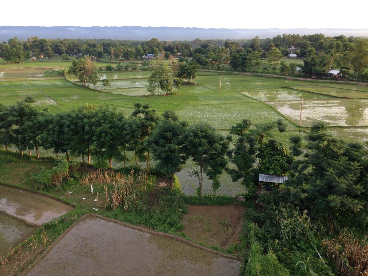 Hotel Chautari Garden Sauraha