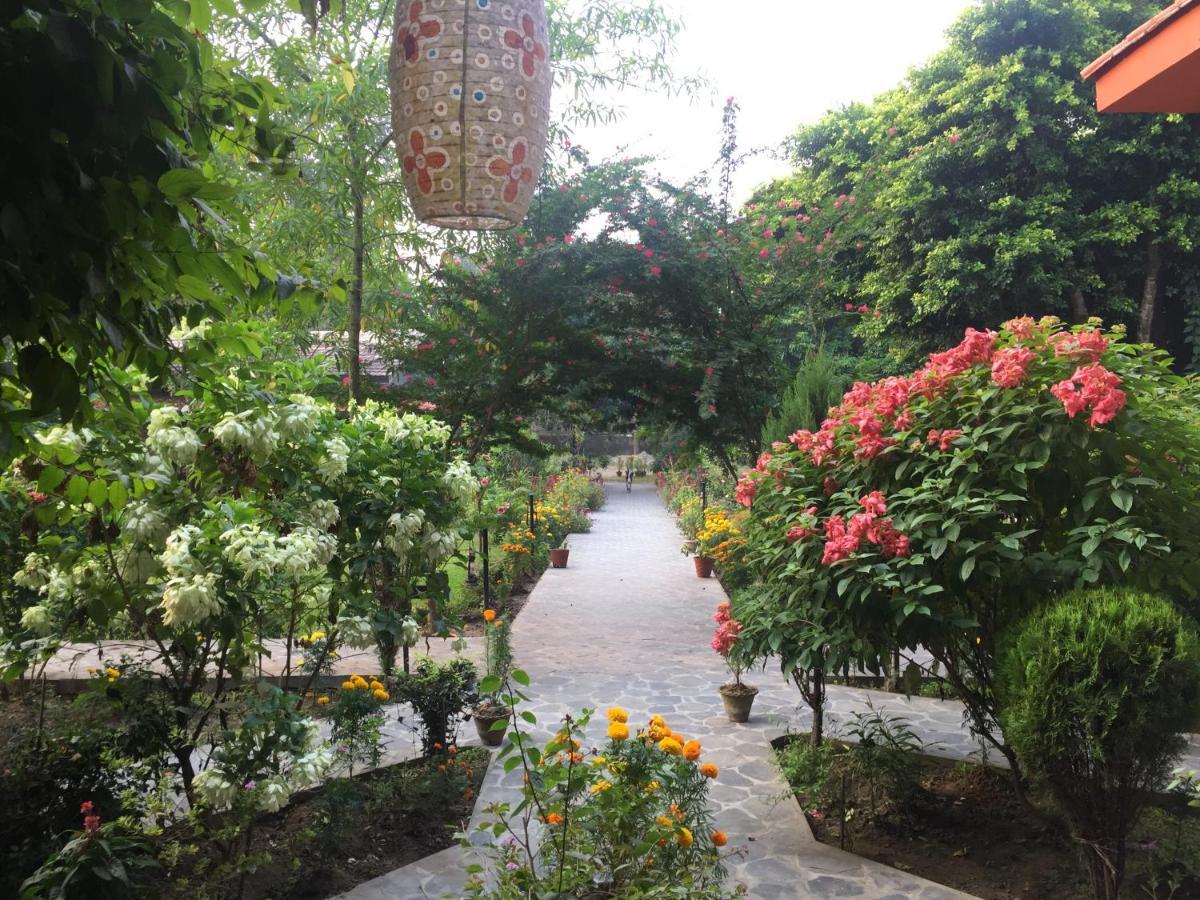 Chautari Garden Hotel Sauraha